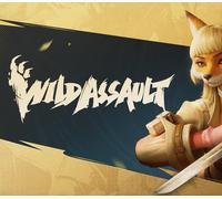 Wild Assault PC Steam Account