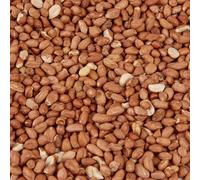 Wild Bird Food (1kg, Peanuts)