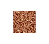 Wild Bird Food (1kg, Peanuts)