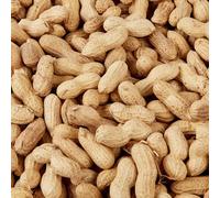Wild Bird Food (1kg, Peanuts In Shell)