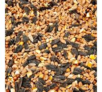 Wild Bird Food (1kg, Wild Bird Mix)