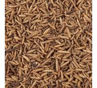 Wild Bird Food (250g, Calci Worms)