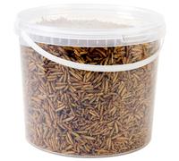 Wild Bird Food 5L Tub (5L Tub, Calci Worms)