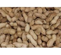 Wild Bird Premium Peanuts in Shells 5KG Monkey Nuts Alfatoxin Free With PEEDEE Pets Sticker