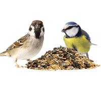 Wild Bird Seed Mix - 4 KG Pack - Ideal Feed for all Garden Birds - Bird Seed - Bird Feed - Highly Nutritious - Convenient Individual 1KG Packs x 4-4 x 1KG Packs - Premium Quality Bird Feed