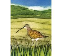 Wild Birds Pocket Notebook: Curlew
