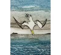 Wild Birds Pocket Notebook: Gannet