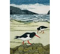 Wild Birds Pocket Notebook: Oystercatcher