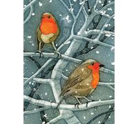 Wild Birds Pocket Notebook: Robin