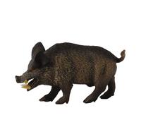 Wild Boar