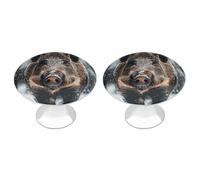 Wild Boar Cabinet Knobs, 2-Pack Silver Stainless Steel Drawer Pulls with Screws, Elegant Hardware for Dressers, Kitchen,Cabinets & Desks