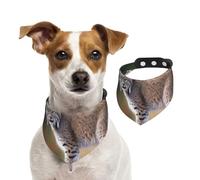 Wild Bobcat Dog Bandanas,Summer Bandanas for Dogs Washable Adjustable Dog Triangle Scarf Bibs Cute Pet Bibs for Medium Large Dogs Puppy and Cats Large
