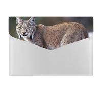 Wild Bobcat File Organizer for Office,6 Pockets Expanding File Folder, Portable Accordion Folders for Desktop, Waterproof Paper Bill Receipt Organizer for Business