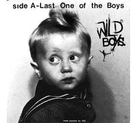 WILD BOYS - 7-LAST ONE OF THE BOYS VINYL LP SINGLE NEW