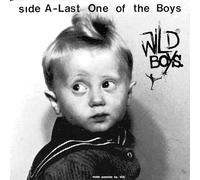 Wild Boys - Wild Boys - Last One Of The Boys b/w We're Only Monsters [7" VINYL]