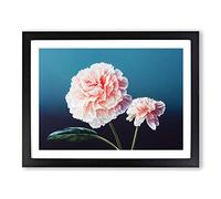 Wild Carnation Flowers H1022 Framed Print for Living Room Bedroom Home Office Décor, Wall Art Picture Ready to Hang, Black A2 Frame (64 x 46 cm)