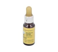 Wild Carrot Floral Essence 20 ml, Pack 2 (Total 40 ml)