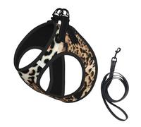 Wild Cats Modern Animal Leopard Print No Pull Dog Harness and Leash Set, Cute Reflective Adjustable Vest for Small Dogs,Breathable Mesh Puppy Harness for Walking Hiking,Medium