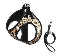 Wild Cats Modern Animal Leopard Print Pattern No Pull Dog Harness and Leash Set, Cute Reflective Adjustable Vest for Small Dogs,Breathable Mesh Puppy Harness for Walking Hiking,Large