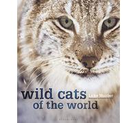 Wild Cats of the World