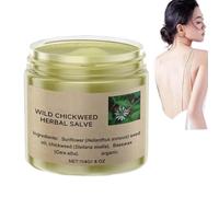 Wild Chickweed Herbal Salve,Organic Herbal Salve,Organic Chickweed Salve Cream, All-Natural Moisturizer,Nourishing Moisturizing, Non-Sticky (1 Pcs)