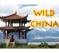 Wild China