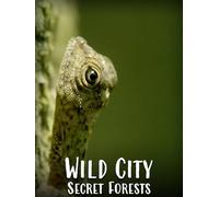 Wild City - Secret Forests