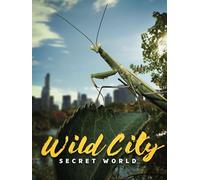 Wild City - Secret World