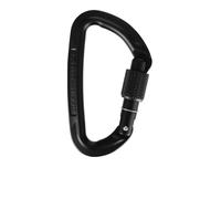 Wild Country Session Screw Gate Carabiner in Black