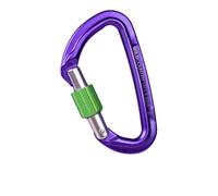 Wild Country Session Screw Gate Carabiner Lilac Green