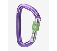 Wild Country Session Screw Gate Carabiner Lilac Green