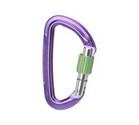 Wild Country Session Screw Gate Carabiner - SS25