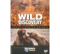 Wild Discovery: Great Siberian Grizzly [DVD] [1997]