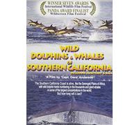 Wild Dolphins and Whales of Southern California [DVD] [US Import]
