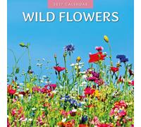 Wild Flowers - 2027 Square Wall Calendar - by Red Robin Publishing