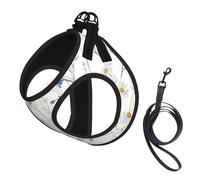 Wild Flowers And Cornflowers Daisies Print Small Dog Harness And Leash Set, Adjustable Soft Vest With 360° Reflective Straps For Cats Puppy