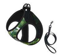 Wild Flowers Birds Leaves Branches2 Print Small Dog Harness with Leash Set, No Escape Easy Walk Puppy Harnesses for Training Walking