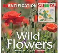 Wild Flowers: Identification Guide
