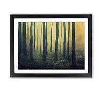 Wild Forest Framed Wall Art Print A2 Black