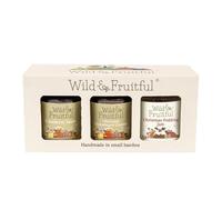 Wild & Fruitful CHRISTMAS BOXED CONDIMENT SELECTION | 3 Full-Size Jars (637g Total) | Sauce, Chutney & Jam | Hand-Made in Cumbria