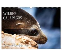 Wild Galapagos - The animals of the Galapagos Islands UK-Version (Wall Calendar 2026 DIN A3 Landscape), CALVENDO 12 Month Wall Calendar