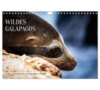 Wild Galapagos - The animals of the Galapagos Islands UK-Version (Wall Calendar 2026 DIN A4 Landscape), CALVENDO 12 Month Wall Calendar