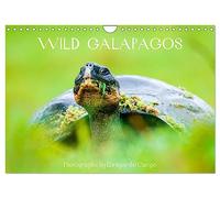 WILD GALAPAGOS (Wall Calendar 2026 DIN A4 landscape), CALVENDO 12 Month Wall Calendar: Evocative images of wildlife in the Galapagos Islands, Ecuador.