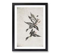 Wild Geese in Flight by Bian Shoumin Framed Print | A2 Black Framed Wall Art | Ready to Hang | Modern Nature Picture | Living Room Bedroom Lounge Office