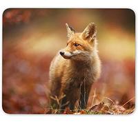 Wild Ginger Fox Mouse Mat Pad Animal Dog Wildlife Computer PC #8116