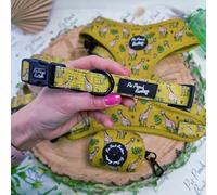 Wild Giraffe Pet Pooch Boutique Dog Collar. Sizes XS-M (Extra Small 22-30cm / 8.7-11.8inch. 1.5cm wide)