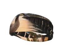 Wild Goose by The Bridge Sports Sweatband Head Bands for Women Men, Lightweight Breathable Non Slip Workout Headbands Hairband for Fitness Running Cycling Hiking Yoga