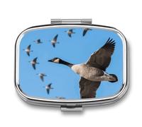 Wild Goose Pill Box 2 Compartment Square Metal Pill Organizer Portable Mini Travel Medicine Case with Mirror Cute Medicine Container Holder for Pocket Purse