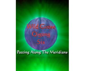 Wild Goose Qigong VI - Patting along the Meridians with Dr. Hu (Remastered)