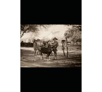 Wild Grace Journals: Australian Bush Heritage Collection